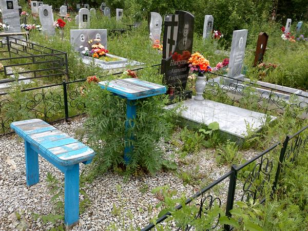 Никулин Анатолий Гаврилович