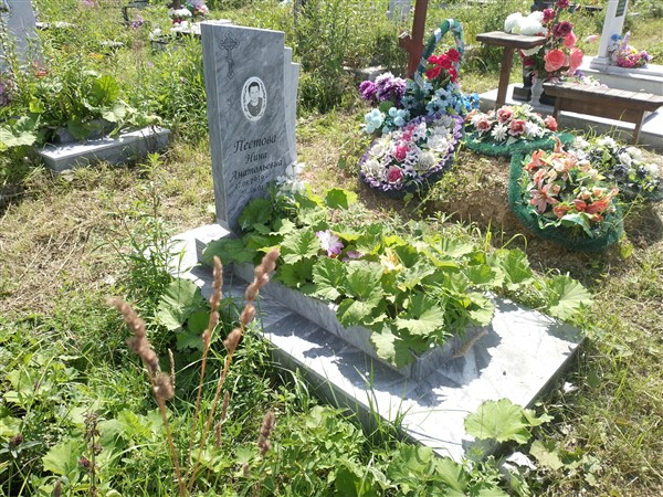 Пестова Нина Анатольевна