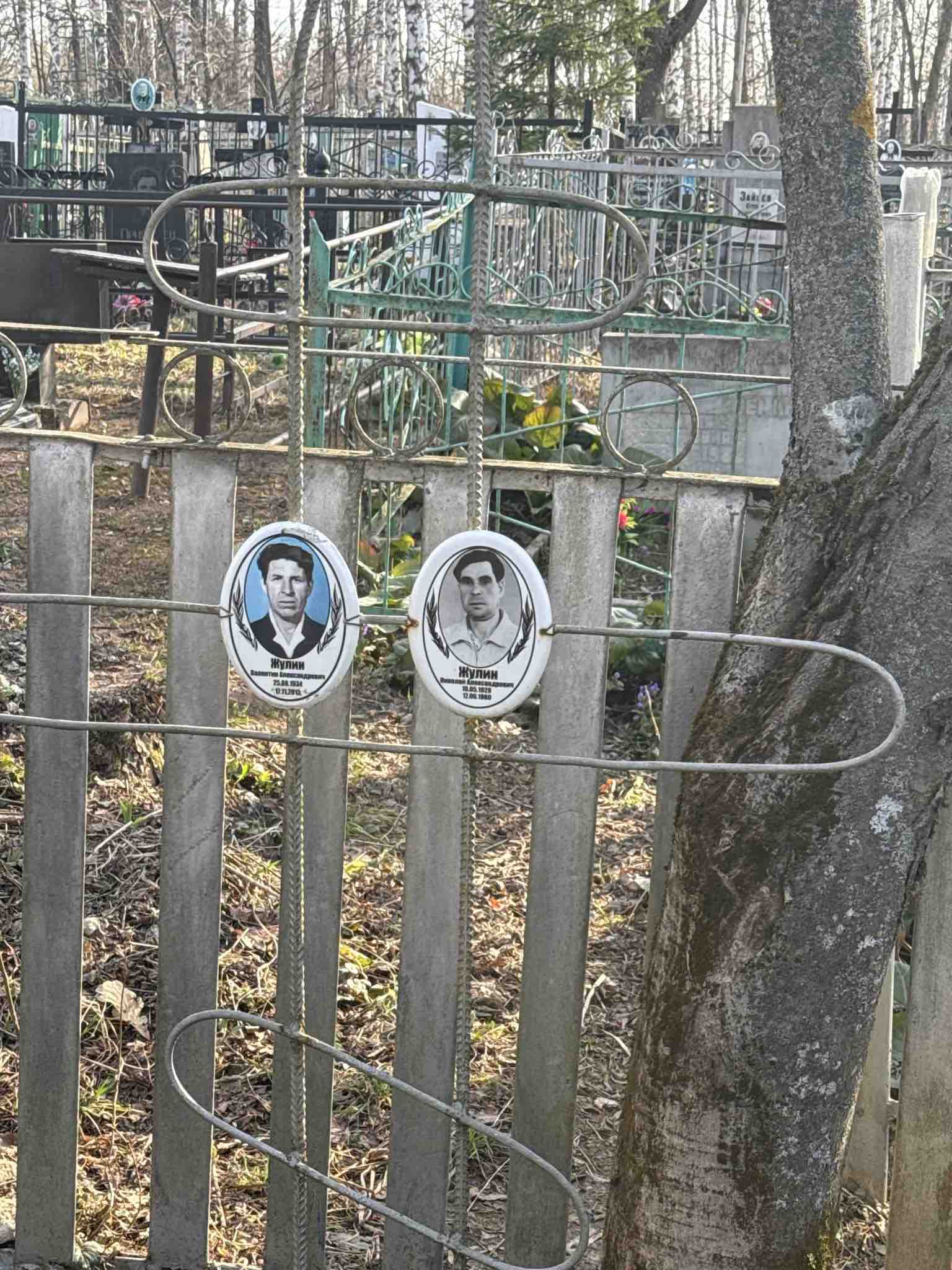 Жулин Виталий Александрович