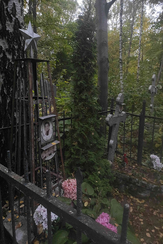 Дмитриев Анатолий Васильевич