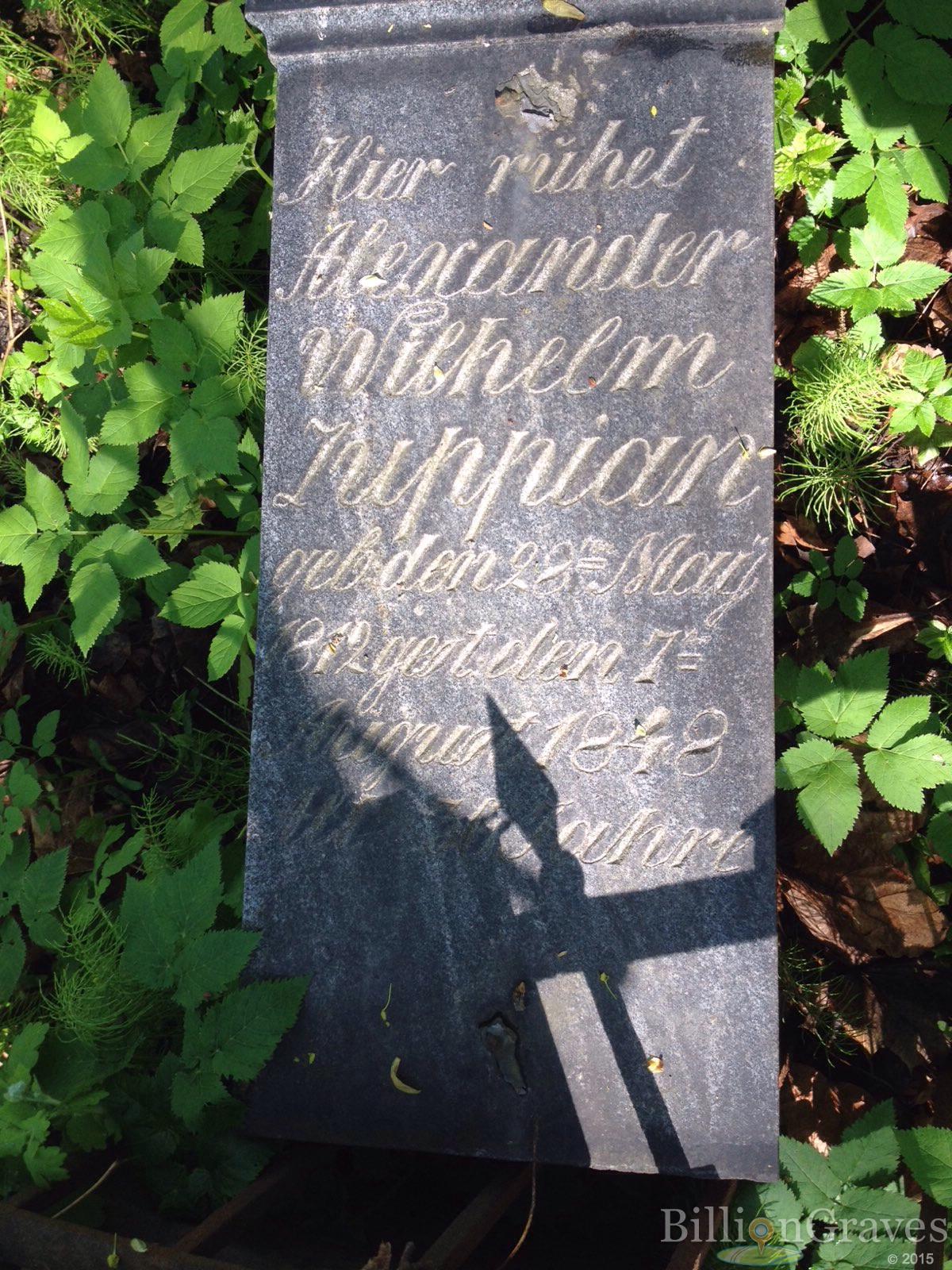 Luppian Alexander Wilhelm
