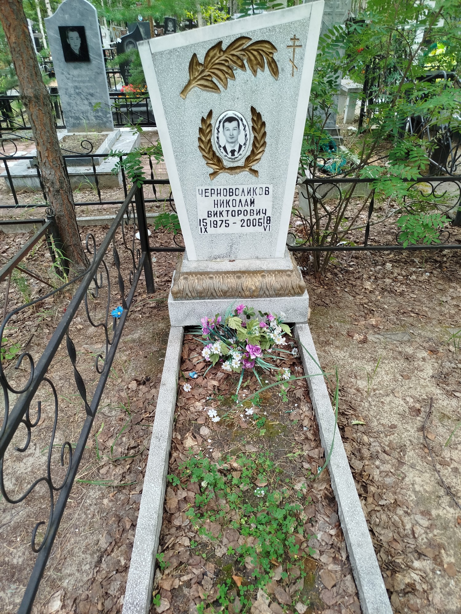 Черноволиков Николай Викторович