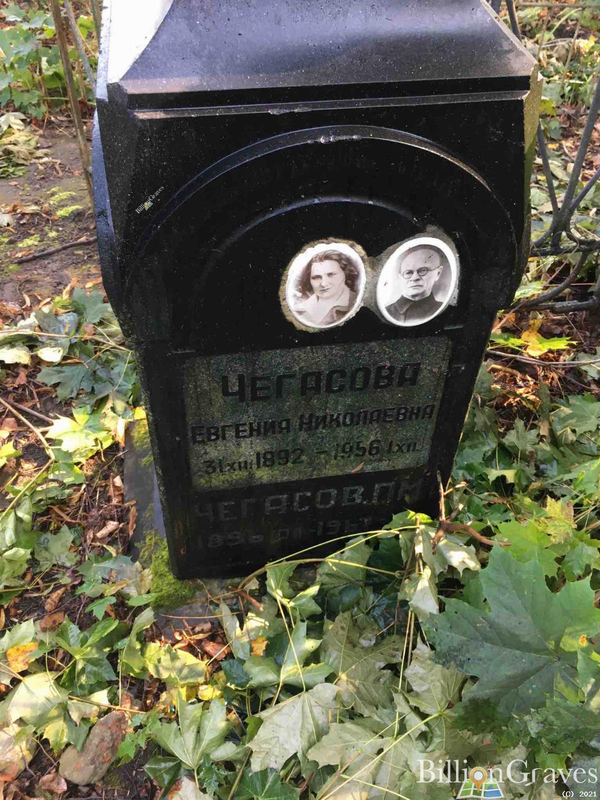 Чегасова Евгения Николаевна