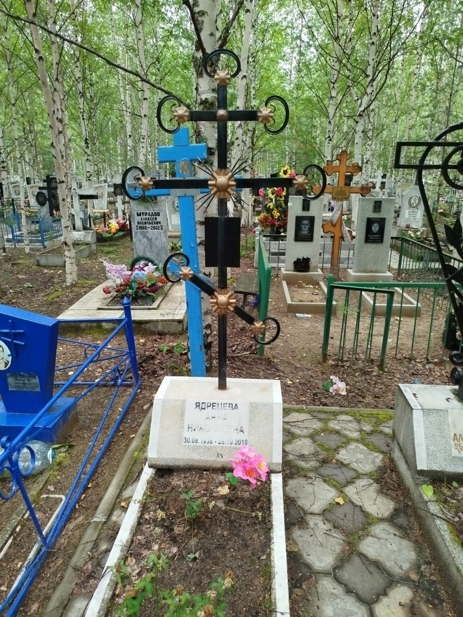 Ядрецева Анна Николаевна