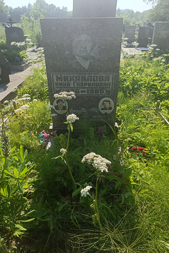 Михайлов Алексей Сергеевич