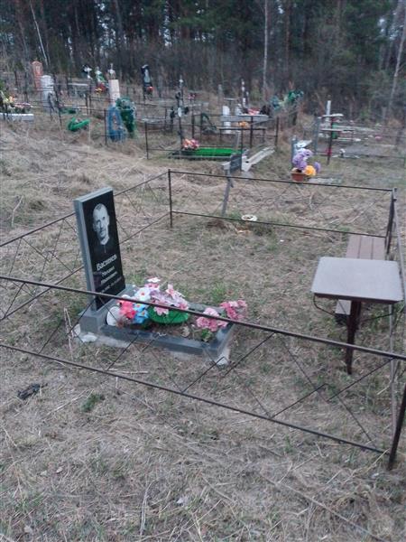 Васинев Михаил Иванович