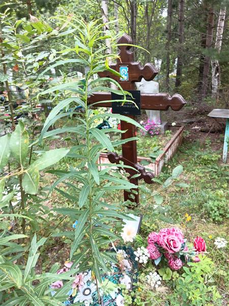Щеткин Николай Петрович