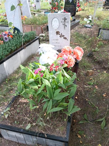 Плеханова Елена Сергеевна