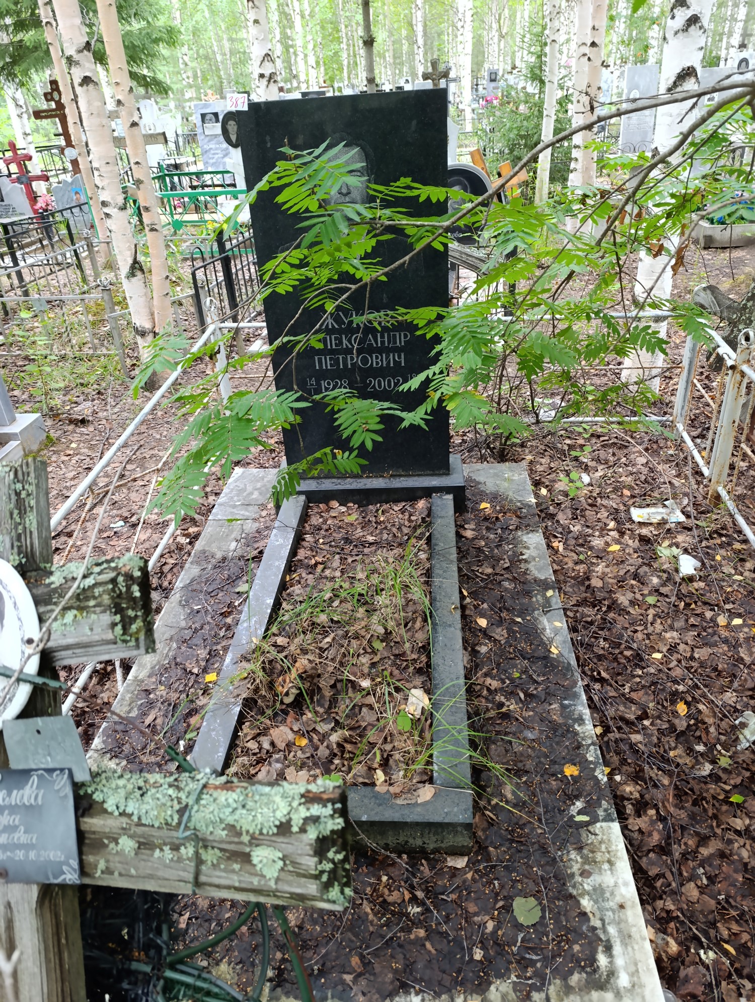 Жуков Александр Петрович