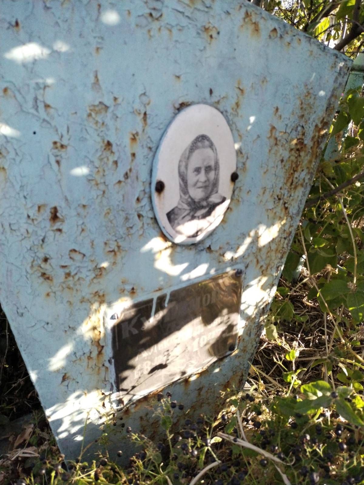 Кузнецова Дарья Александровна