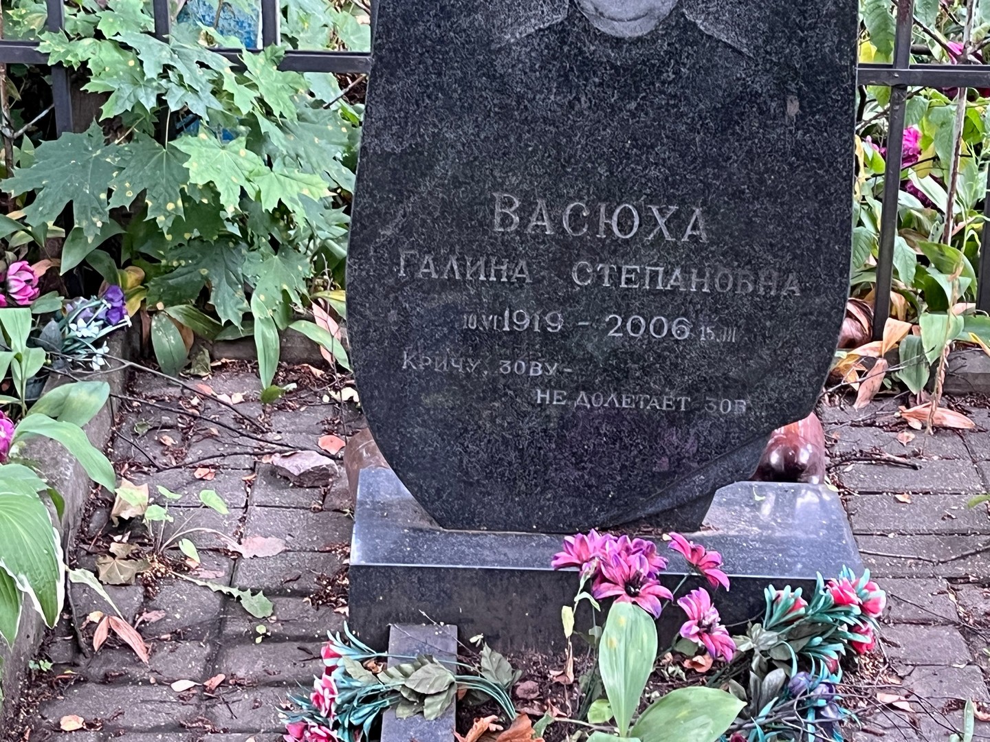 Васюха