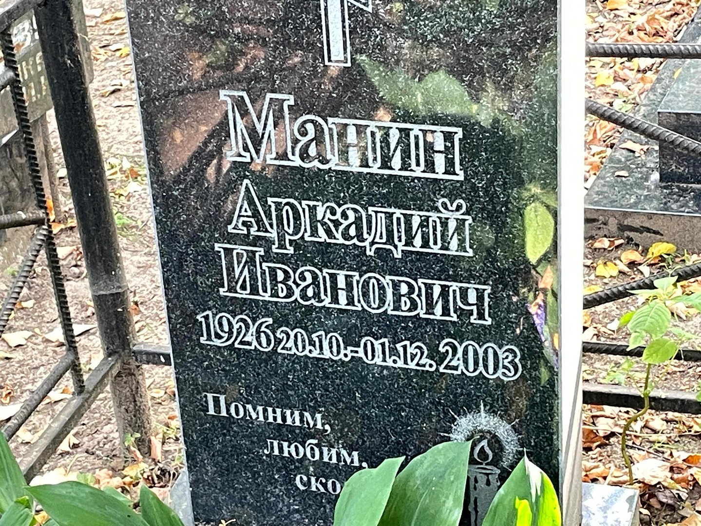 Манин