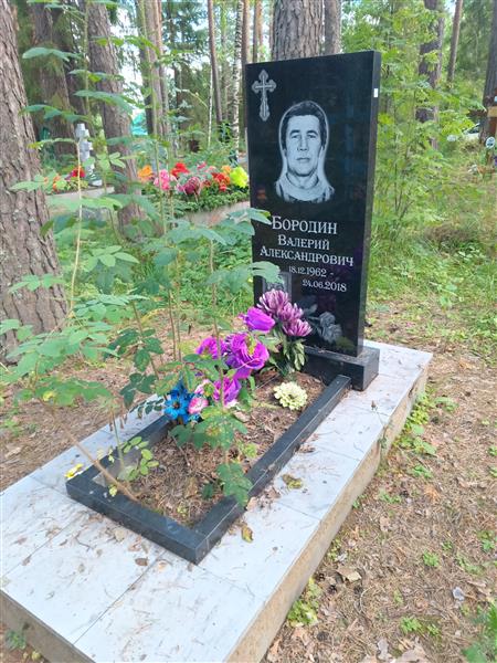 Бородин Валерий Александрович