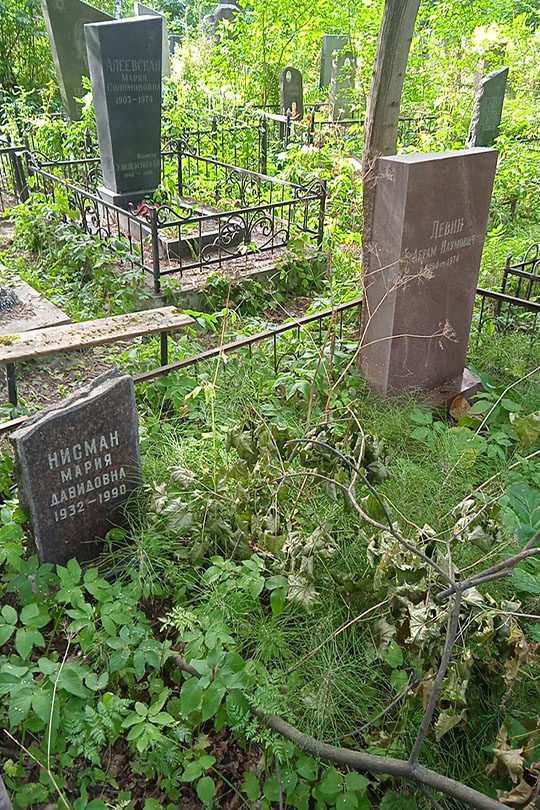 Левин Абрам Наумович