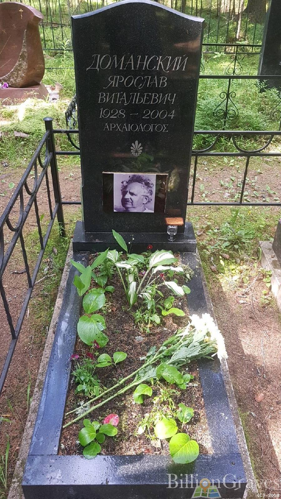 Доманский Ярослав Витальевич