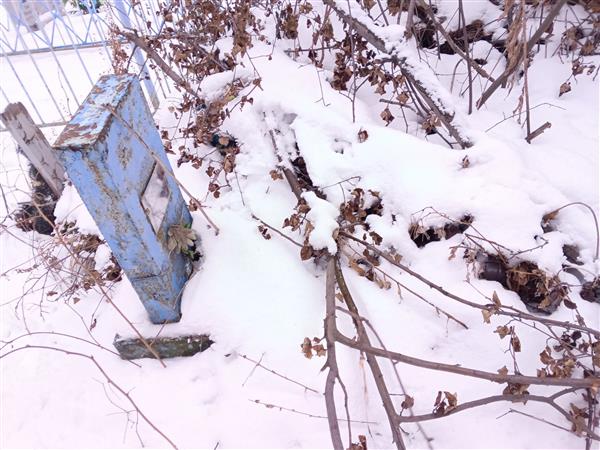 Соколова Виктория Александровна
