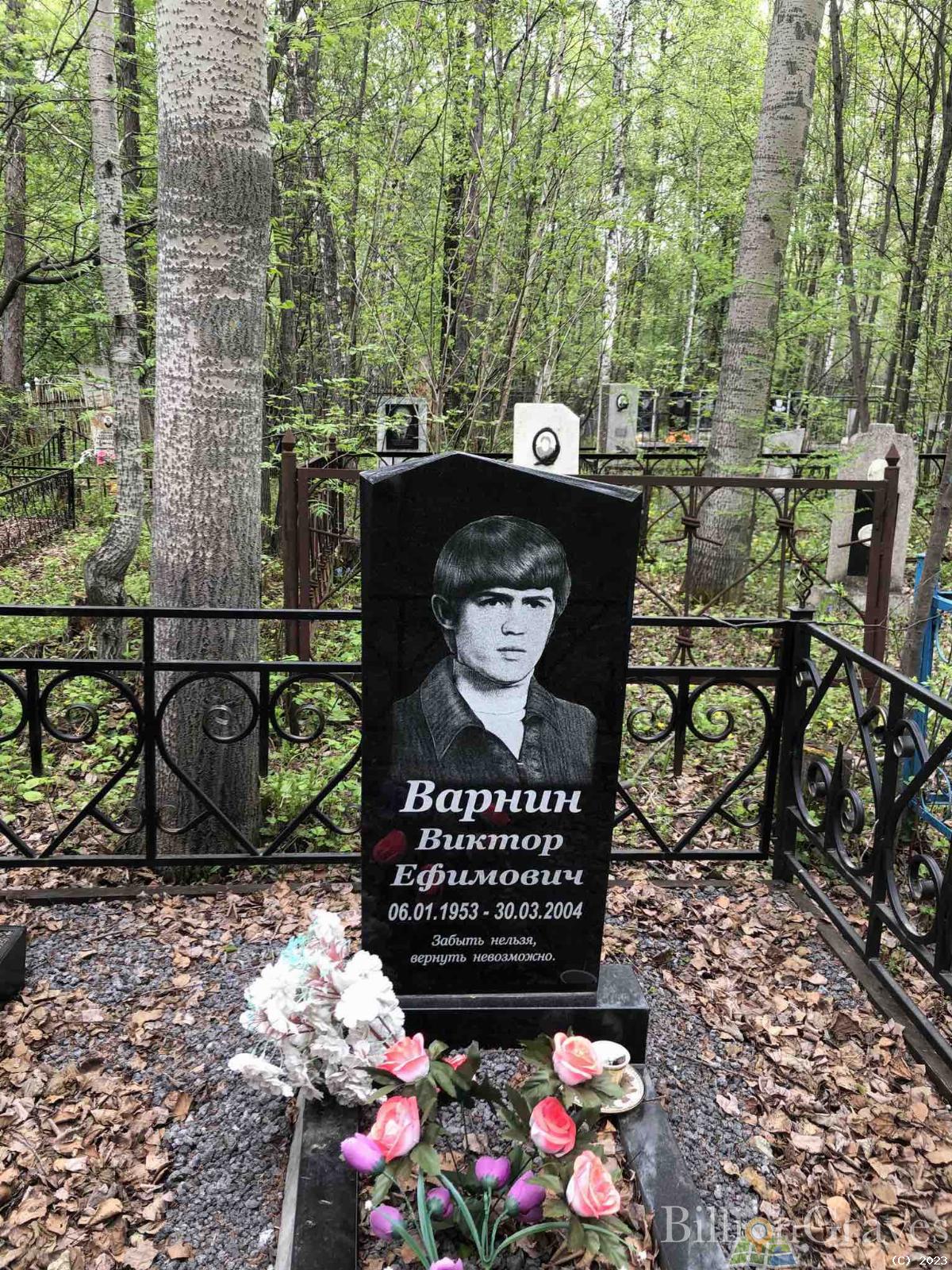 Варнин Виктор Ефимович