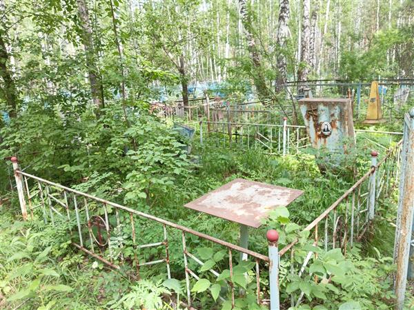 Карелин Анатолий Николаевич