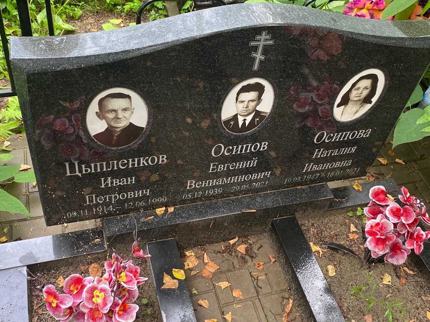 Цыпленков