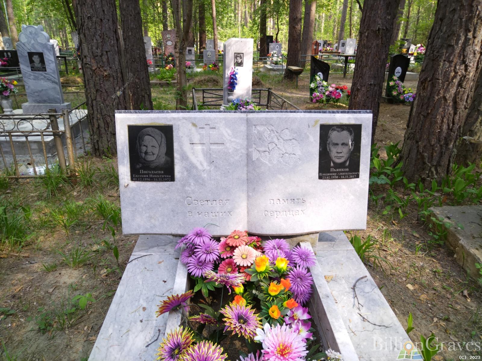 Погодаева Евгения Никитична