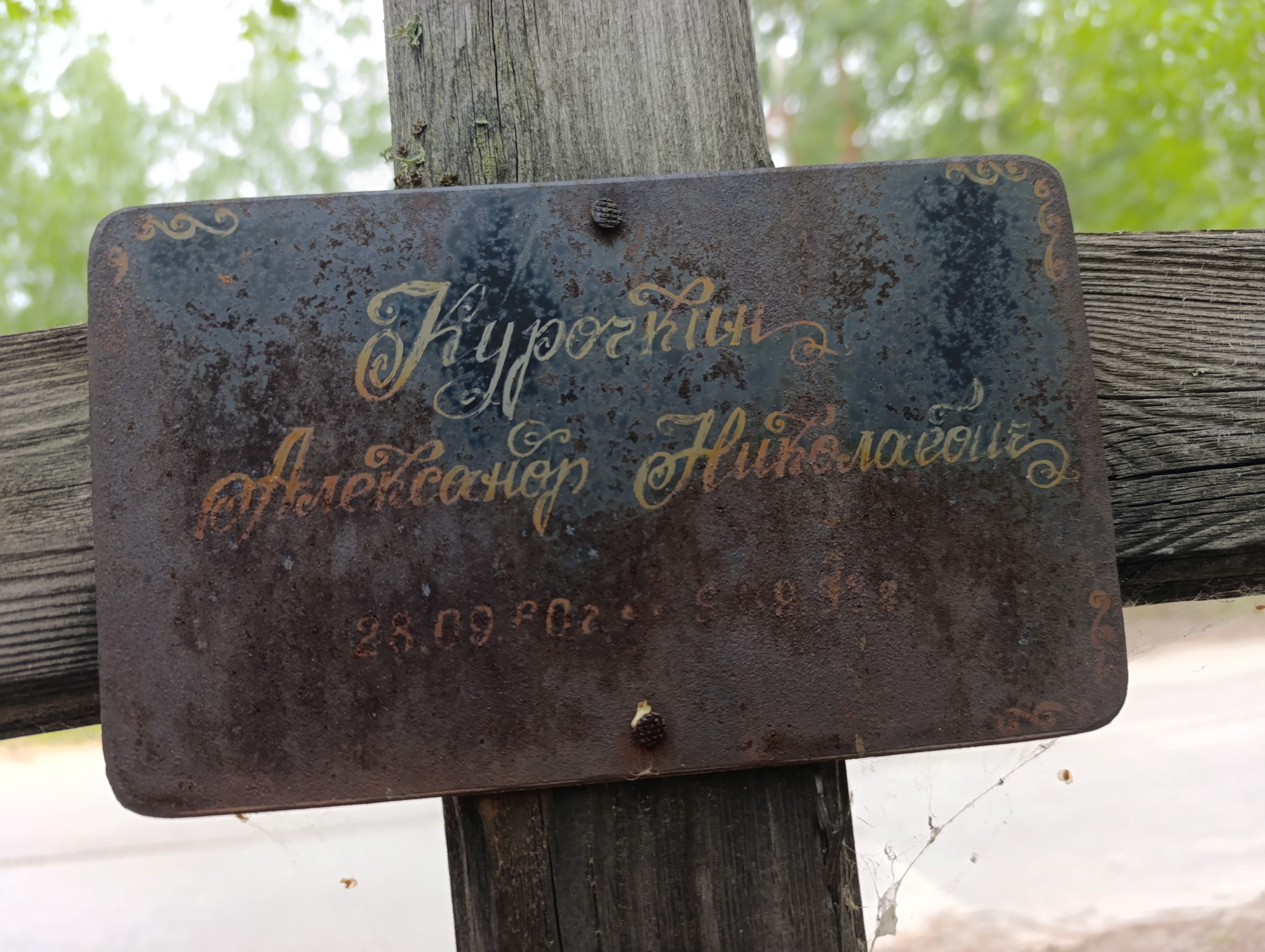 Курочкин Александр Николаевич