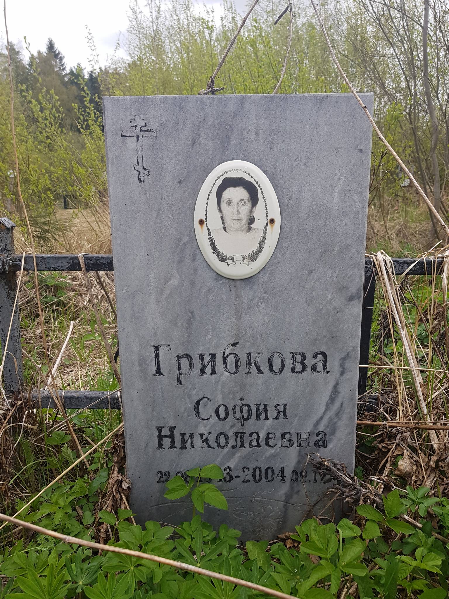 Грибкова София Николаевна