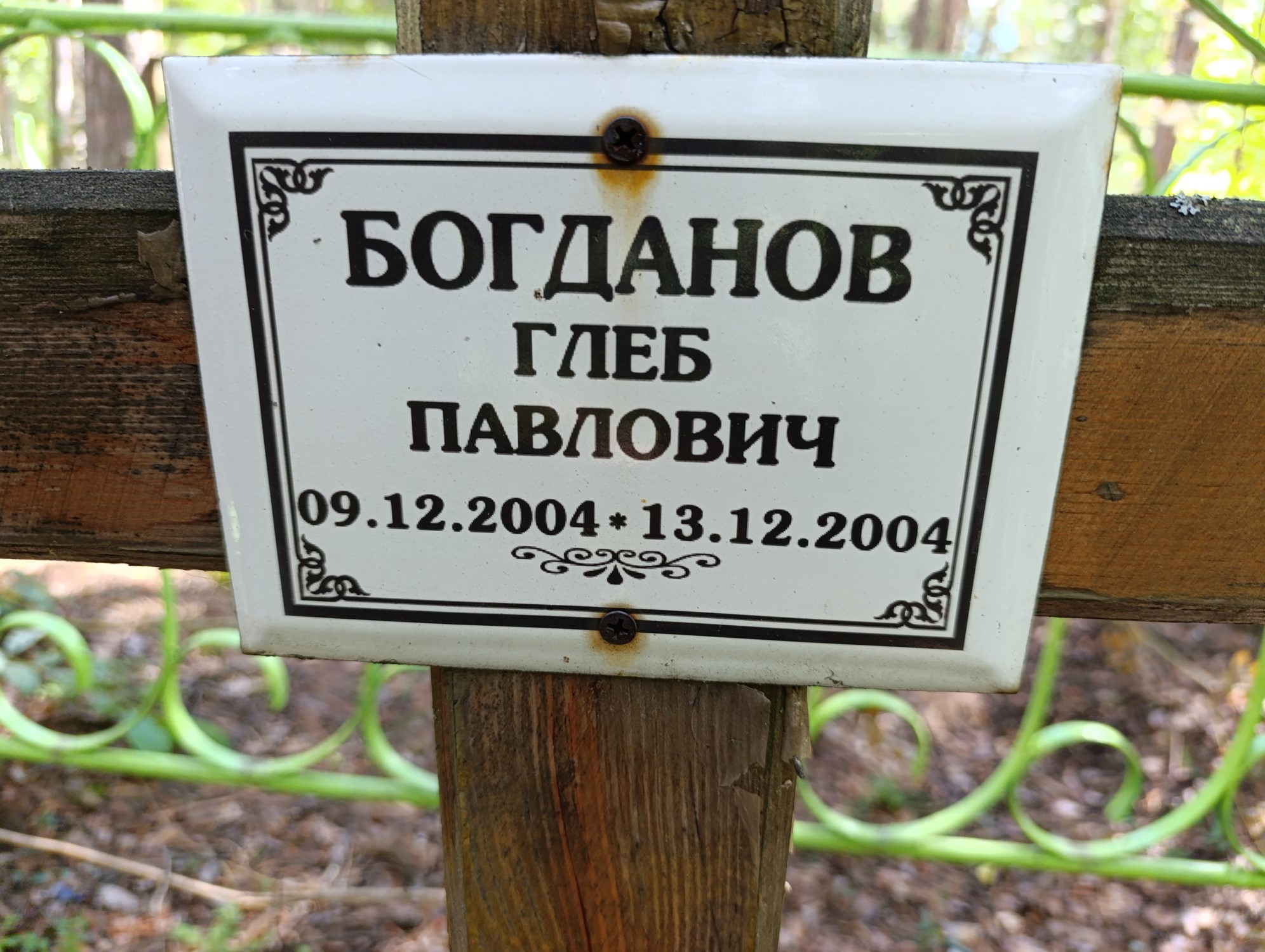 Богданов Глеб Павлович