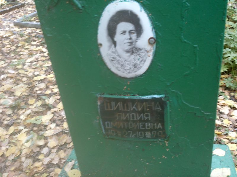 Шишкина