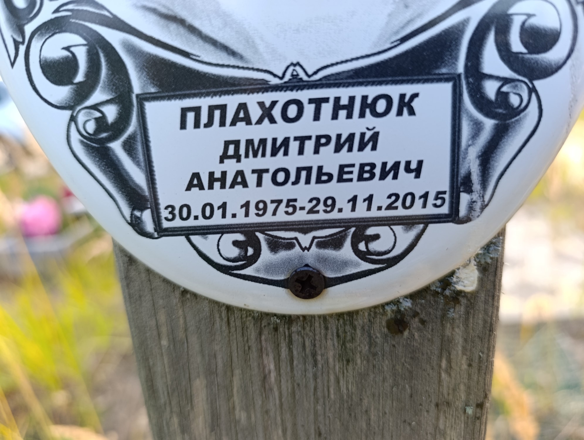 Плахотнюк Дмитрий Анатольевич