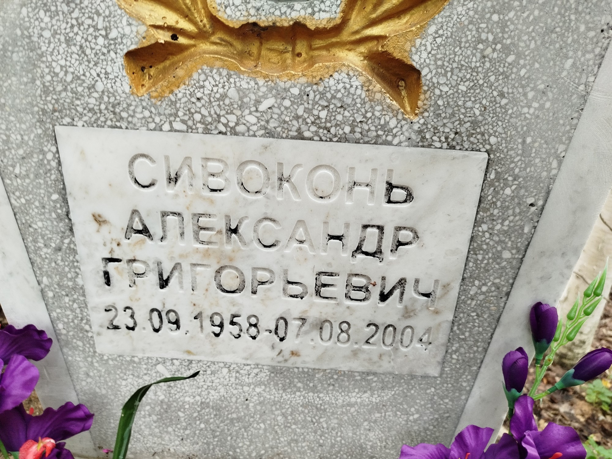 Сивоконь Александр Григорьевич