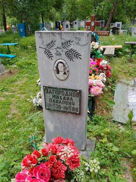 Загороднов Михаил Павлович