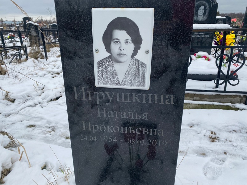 Игрушкина