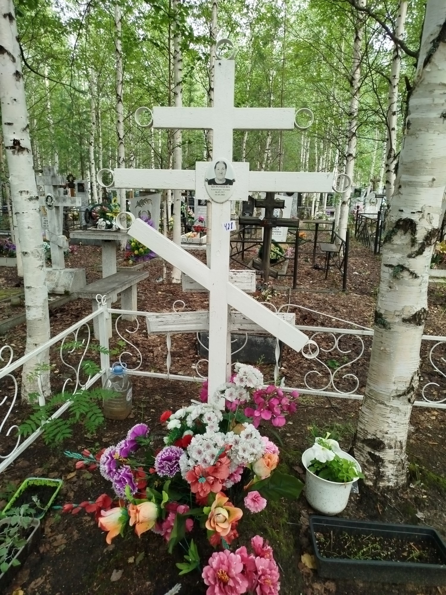 Муромцева Александрп Львовна