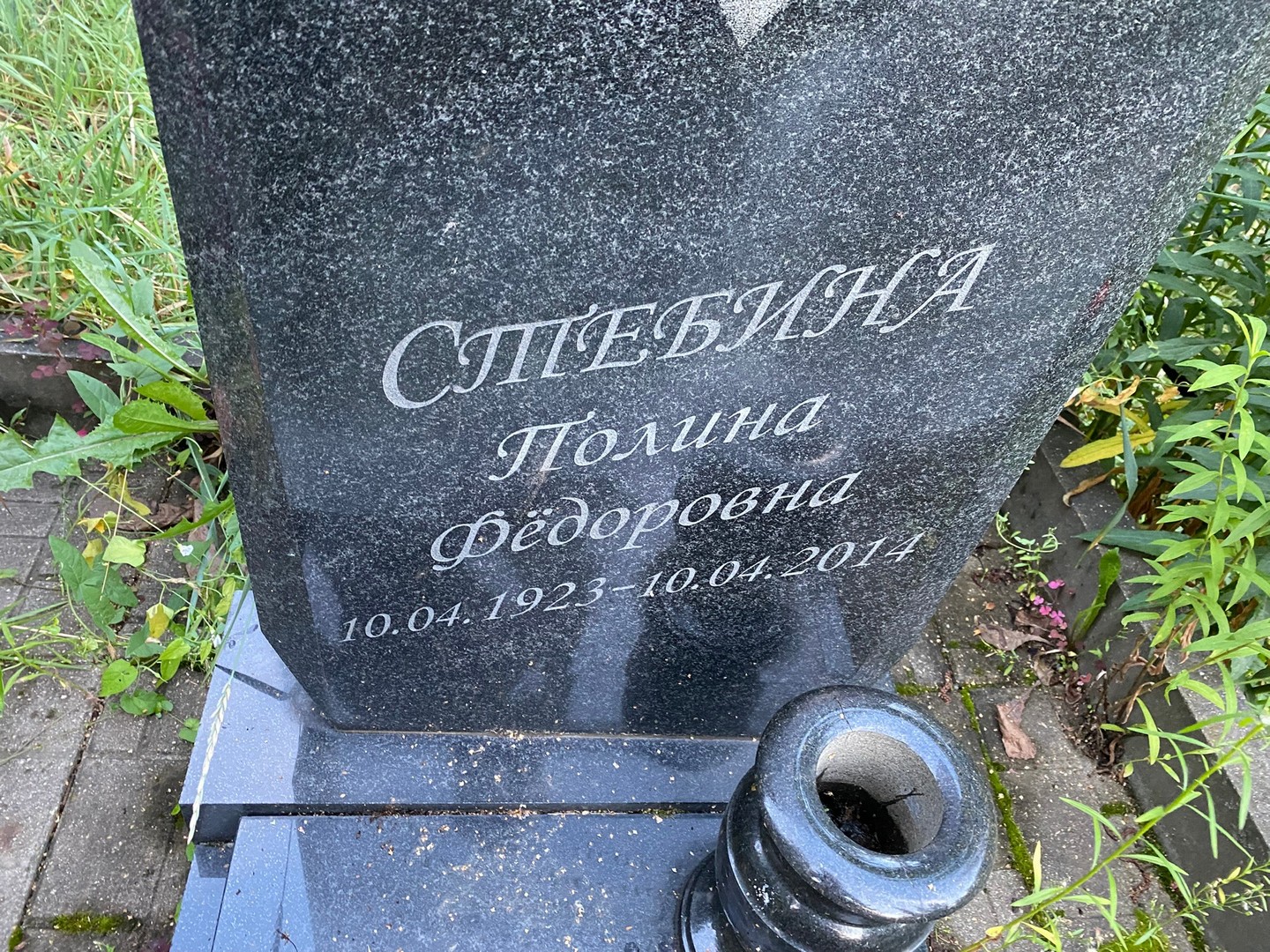 Стебина