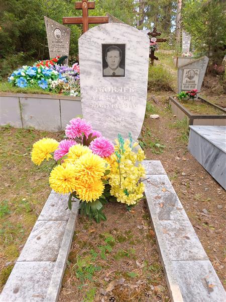 Яковлев Александр Николаевич