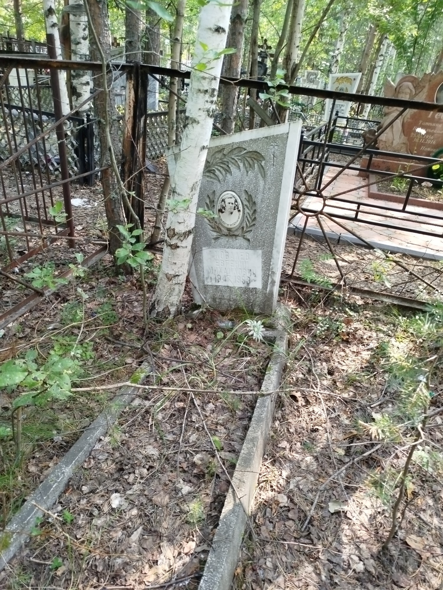Ковалев Евгений Михайлович