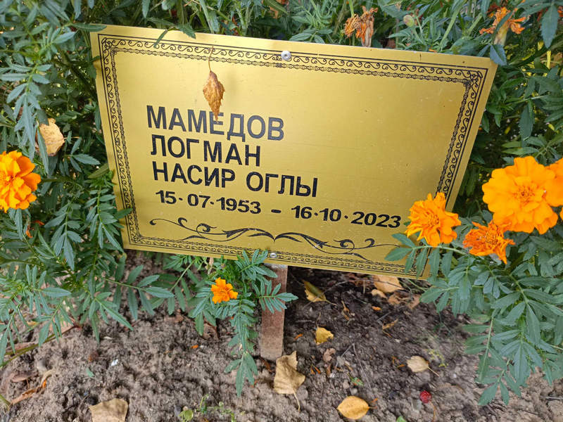 Логман Мамедов Насир