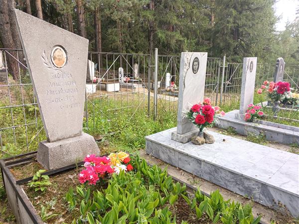 Шимов Андрей Леонидович