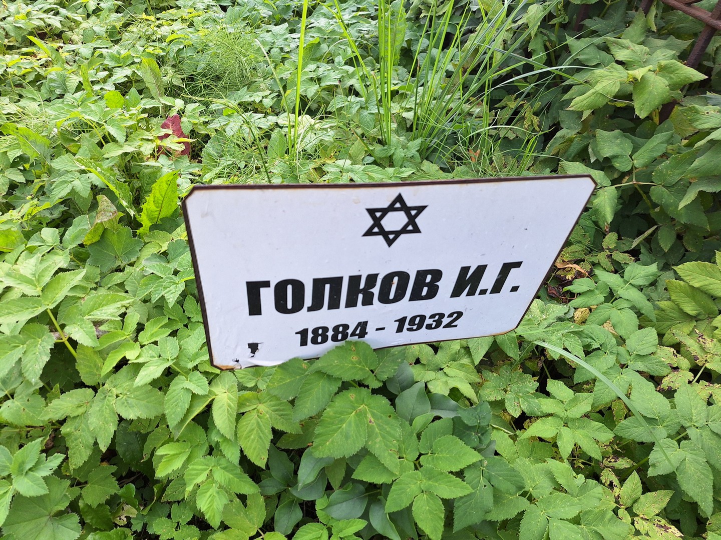 И Голков Г