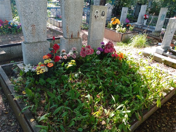 Ширяев Андрей Алексеевич