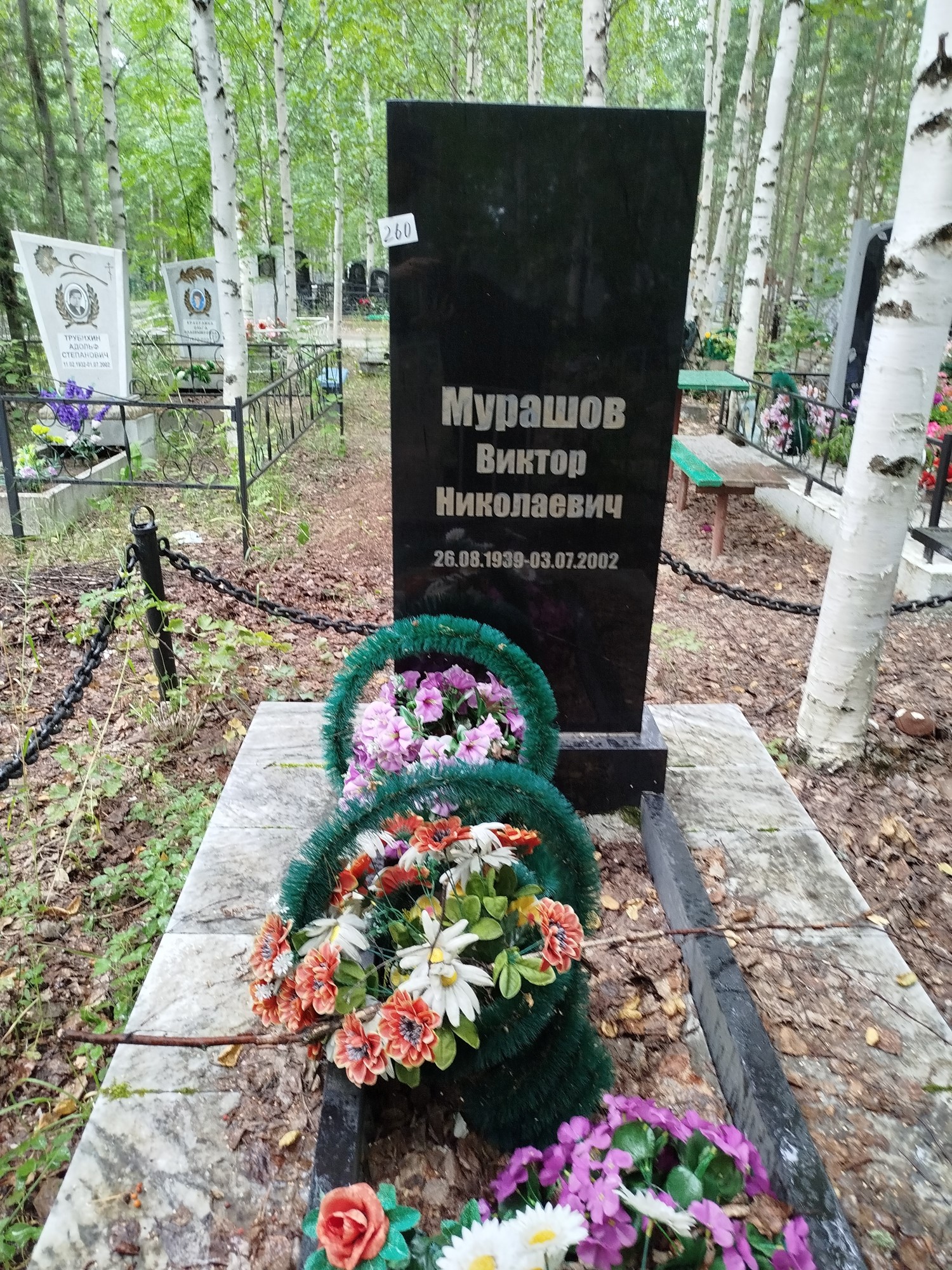 Мурашов Виктор Николаевич