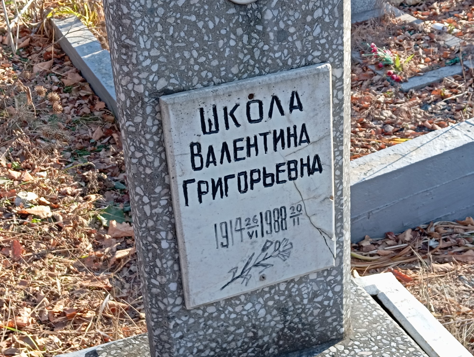 Школа Валентина Григорьевна