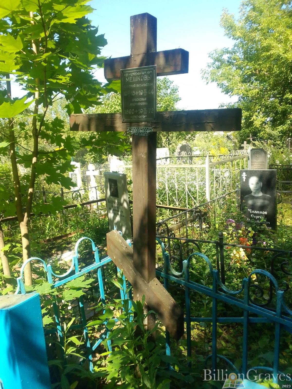Мешков Дмитрий Витальевич