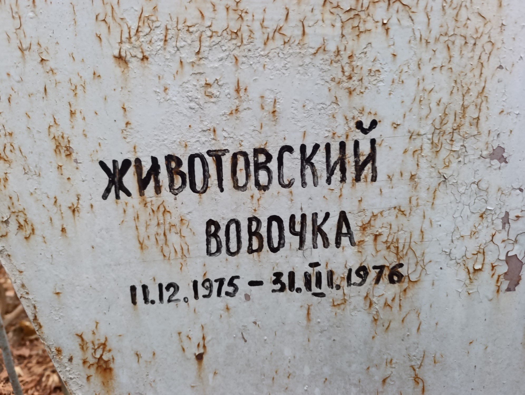 Животовский Вовочка