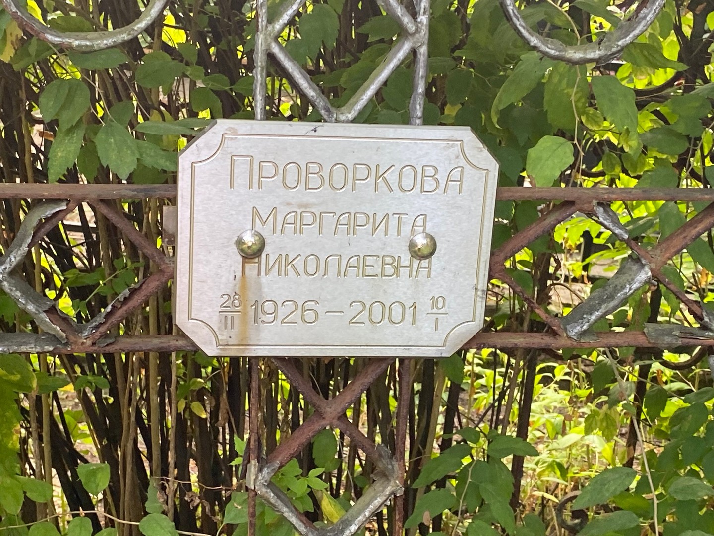 Проворкова