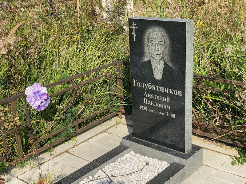 Голубятников