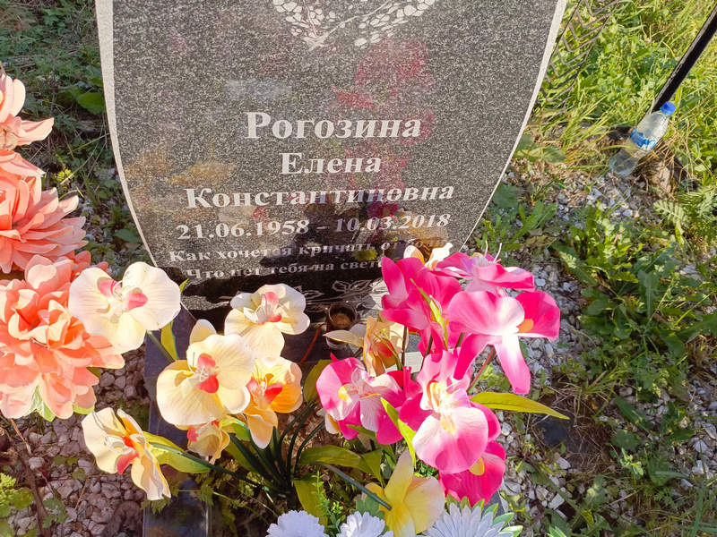 Рогозина