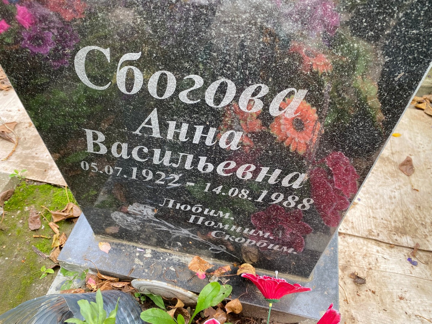 Сбогова