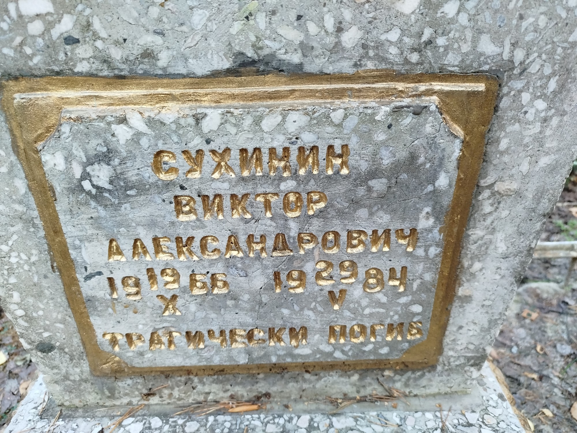 Сухинин Виктор Александрович