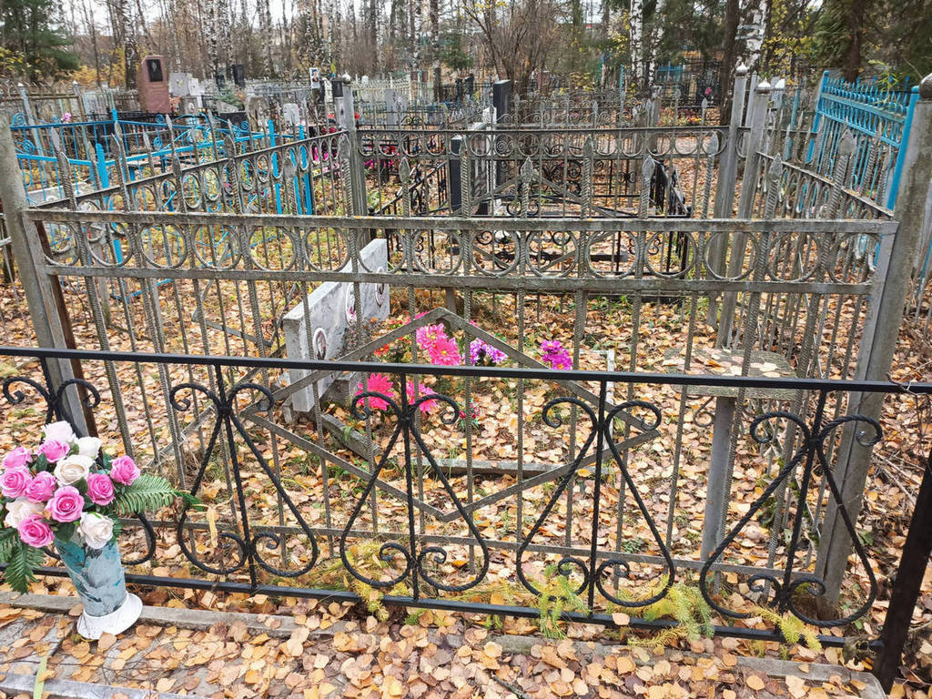 Плесков Николай Константинович